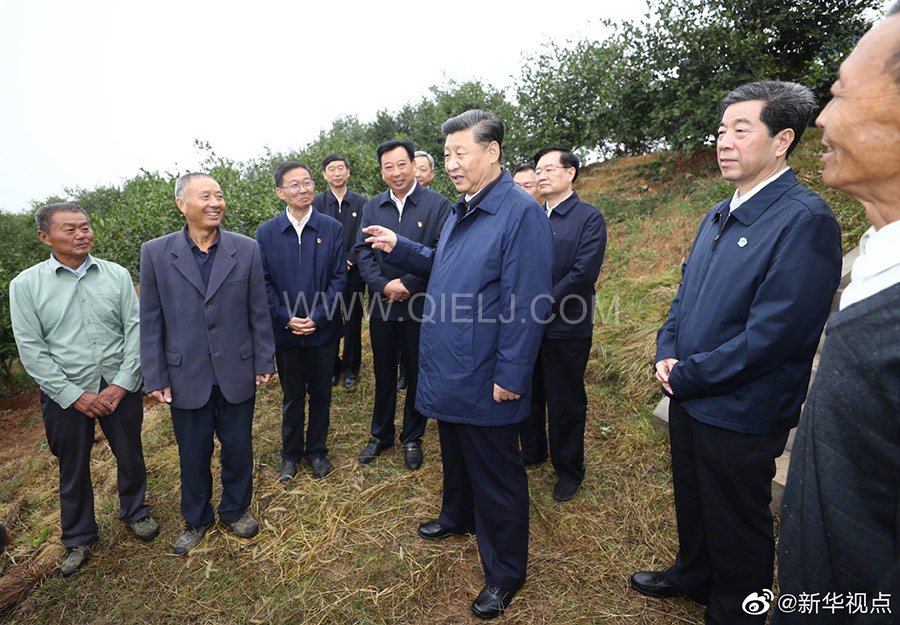 光山油茶籽榨油設備，山茶籽油榨油機廠家(圖3)